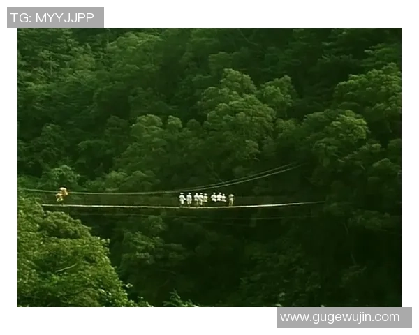 深度对话赵丽从绿茵场到人生舞台的足球故事与梦想追寻